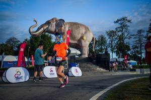 BIB: 
                            <button type="button" onclick="openModal(26541874)" class="btn btn-primary btn-sm float-right btn-popup" data-toggle="modal" data-target=".modal-high-quality">
                        <i class="fas fa-shopping-cart"></i> Add to Cart
                    </button>
                                            <button type="button" onclick="isThisMe(26541874, true)" class="btn btn-success btn-sm float-right btn-popup btn-isme hidden" data-toggle="tooltip" data-placement="bottom" title="นี่คือรูปของคุณใช่ไหม คลิกที่นี่เพื่อเอาเข้าอัลบั้ม">
                        <i class="fas fa-plus"></i> Add to album
                    </button>
                    <button type="button" onclick="isThisMe(26541874, false)" class="btn btn-warning btn-sm float-right btn-popup btn-isnotme hidden">
                        <i class="fas fa-ban"></i> Remove from album
                    </button>